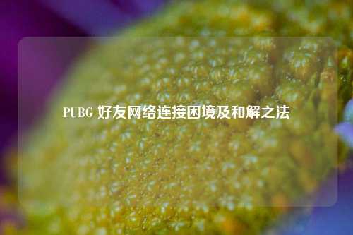 PUBG 好友 *** 连接困境及和解之法