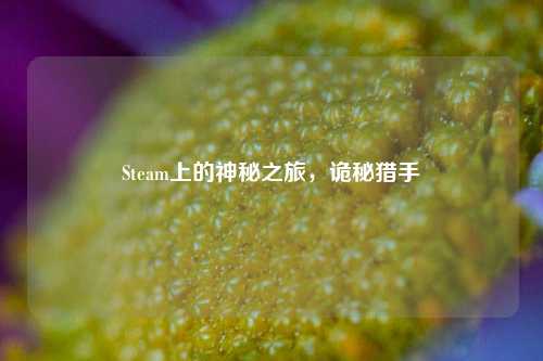 Steam上的神秘之旅，诡秘猎手