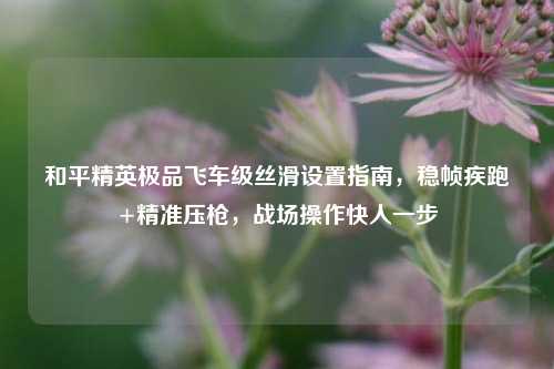 和平精英极品飞车级丝滑设置指南，稳帧疾跑+精准压枪，战场操作快人一步