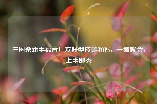 三国杀新手福音！友好型技能TOP5，一看就会，上手即秀