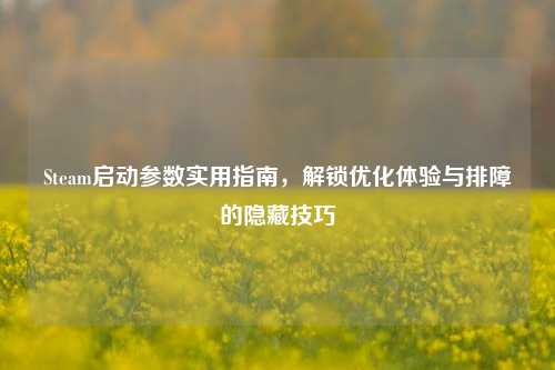 Steam启动参数实用指南，解锁优化体验与排障的隐藏技巧