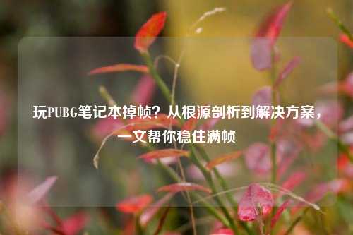 玩PUBG笔记本掉帧？从根源剖析到解决方案，一文帮你稳住满帧