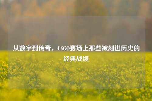从数字到传奇，CSGO赛场上那些被刻进历史的经典战绩