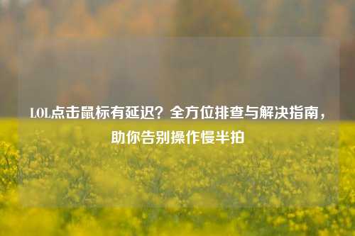 LOL点击鼠标有延迟？全方位排查与解决指南，助你告别操作慢半拍