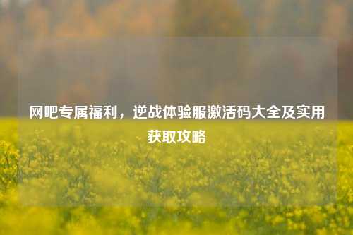 网吧专属福利，逆战体验服激活码大全及实用获取攻略