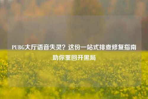 PUBG大厅语音失灵？这份一站式排查修复指南助你重回开黑局
