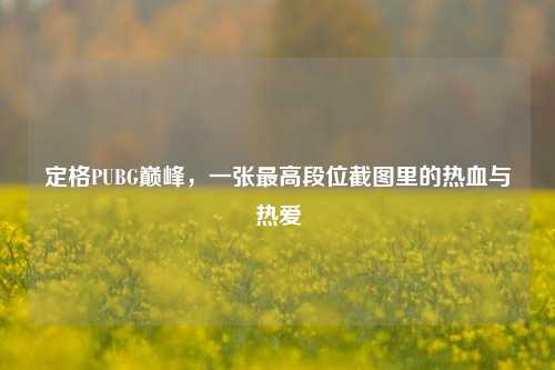 定格PUBG巅峰，一张更高段位截图里的热血与热爱