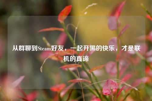 从群聊到Steam好友，一起开黑的快乐，才是联机的真谛