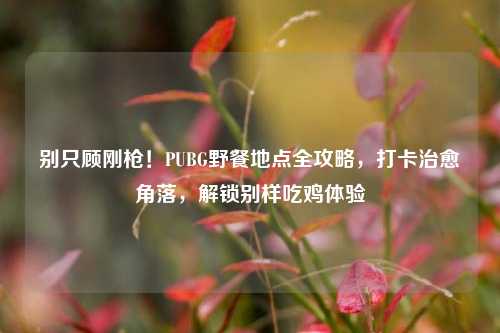 别只顾刚枪！PUBG野餐地点全攻略，打卡治愈角落，解锁别样吃鸡体验