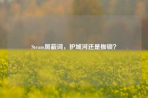 Steam屏蔽词，护城河还是枷锁？