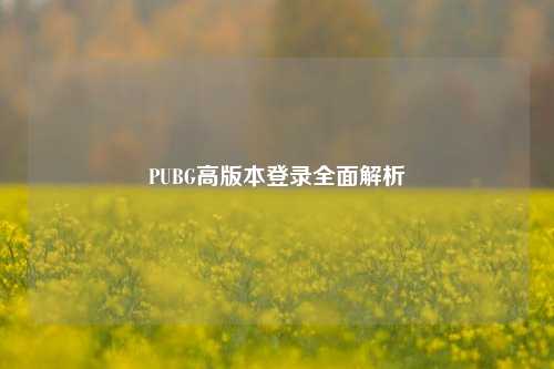 PUBG高版本登录全面解析