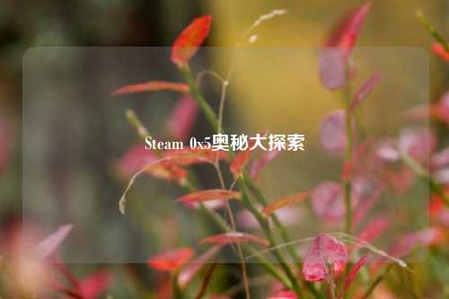 Steam 0x5奥秘大探索