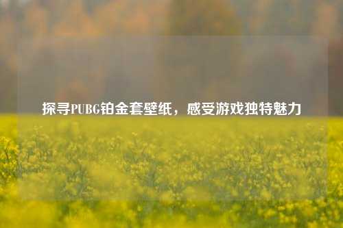 探寻PUBG铂金套壁纸，感受游戏独特魅力