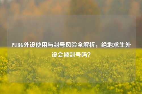 PUBG外设使用与封号风险全解析，绝地求生外设会被封号吗？