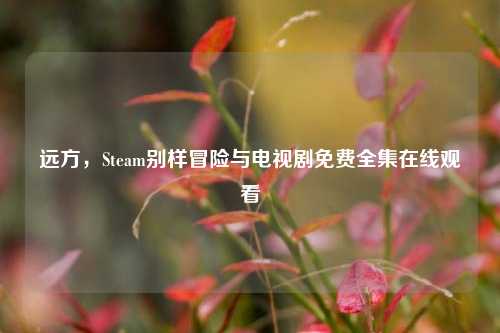 远方，Steam别样冒险与电视剧免费 *** 观看