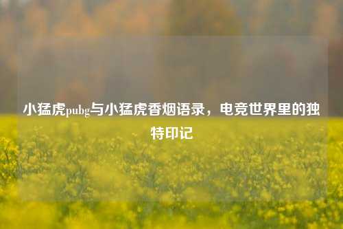 小猛虎pubg与小猛虎香烟语录，电竞世界里的独特印记