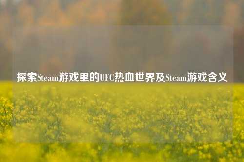 探索Steam游戏里的UFC热血世界及Steam游戏含义