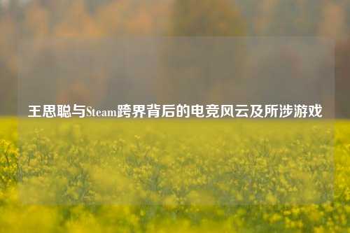 王思聪与Steam跨界背后的电竞风云及所涉游戏