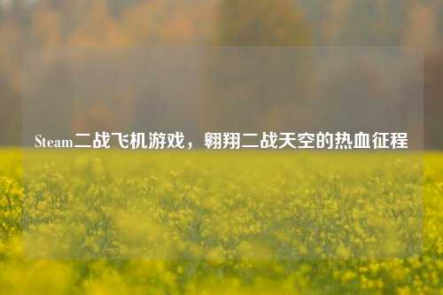 Steam二战飞机游戏，翱翔二战天空的热血征程