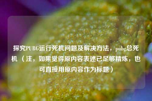 探究PUBG运行死机问题及解决 *** ，pubg总死机 （注，如果觉得原内容表述已足够精炼，也可直接用原内容作为标题）