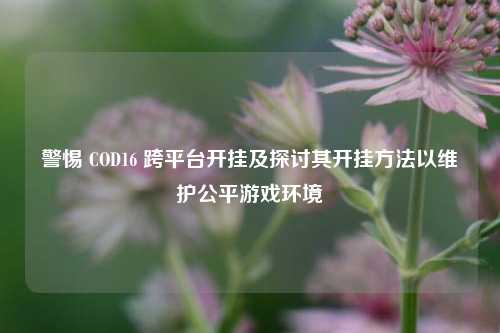 警惕 COD16 跨平台开挂及探讨其开挂 *** 以维护公平游戏环境