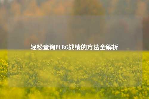 轻松查询PUBG战绩的 *** 全解析