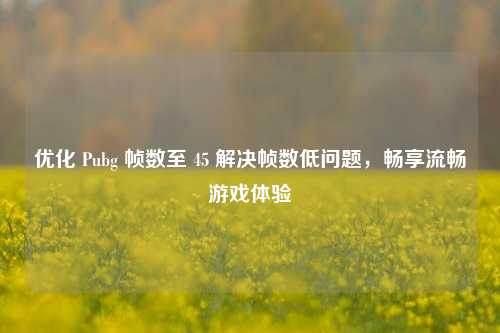 优化 Pubg 帧数至 45 解决帧数低问题，畅享流畅游戏体验