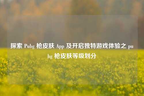 探索 Pubg 枪皮肤 App 及开启独特游戏体验之 pubg 枪皮肤等级划分