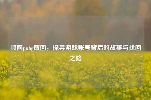 顺网pubg取回，探寻游戏账号背后的故事与找回之路