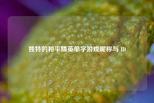 独特的和平精英单字游戏昵称与 ID