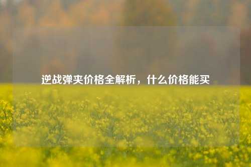 逆战弹夹价格全解析，什么价格能买