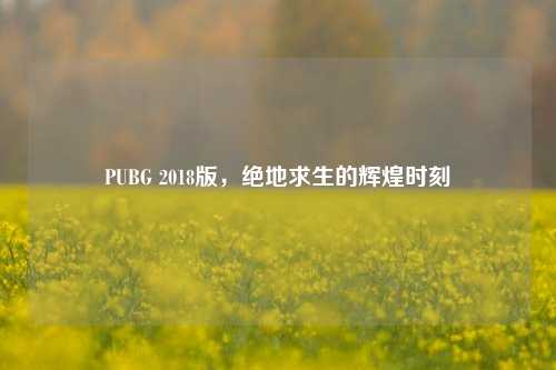 PUBG 2018版，绝地求生的辉煌时刻