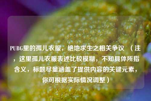 PUBG里的孤儿衣服，绝地求生之相关争议  （注，这里孤儿衣服表述比较模糊，不知具体所指含义，标题尽量涵盖了提供内容的关键元素，你可根据实际情况调整）