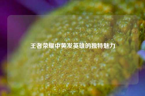 王者荣耀中黄发英雄的独特魅力
