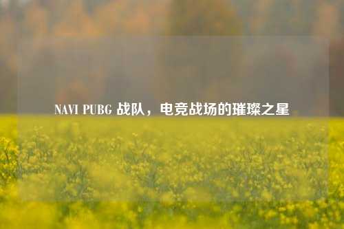 NAVI PUBG 战队，电竞战场的璀璨之星