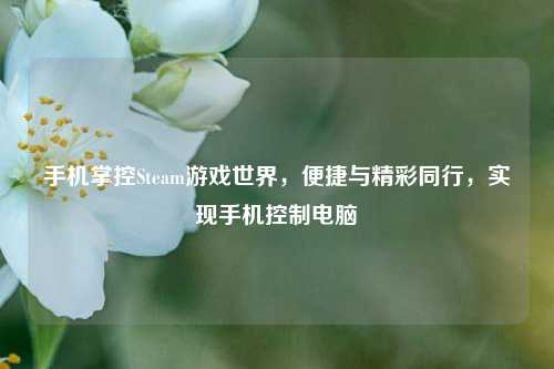 手机掌控Steam游戏世界，便捷与精彩同行，实现手机控制电脑