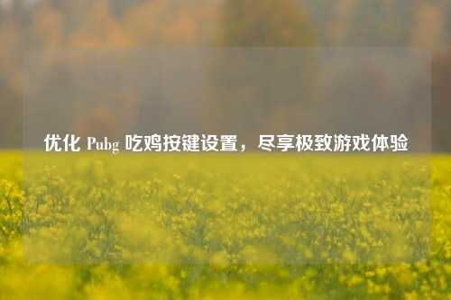 优化 Pubg 吃鸡按键设置，尽享极致游戏体验