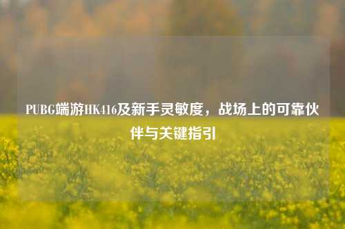 PUBG端游HK416及新手灵敏度，战场上的可靠伙伴与关键指引