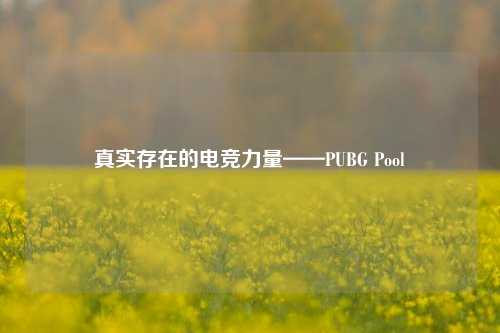 真实存在的电竞力量——PUBG Pool