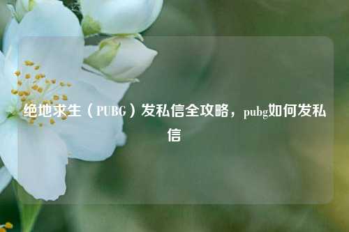绝地求生（PUBG）发私信全攻略，pubg如何发私信