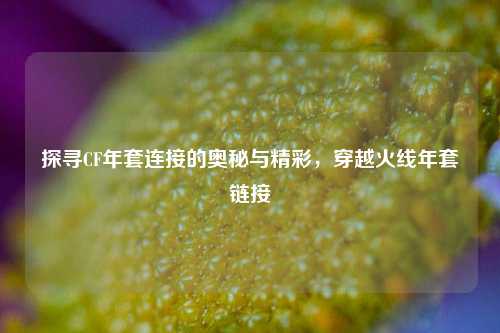 探寻CF年套连接的奥秘与精彩，穿越火线年套链接