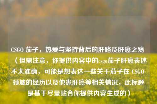 CSGO 茄子，热爱与坚持背后的肝路及肝癌之殇 （但需注意，你提供内容中的csgo茄子肝癌表述不太准确，可能是想表达一些关于茄子在 CSGO 领域的经历以及他患肝癌等相关情况，此标题是基于尽量贴合你提供内容生成的）