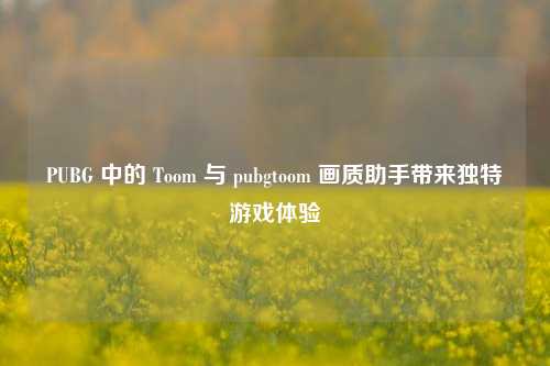 PUBG 中的 Toom 与 pubgtoom 画质助手带来独特游戏体验