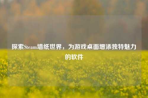 探索Steam墙纸世界，为游戏桌面增添独特魅力的软件