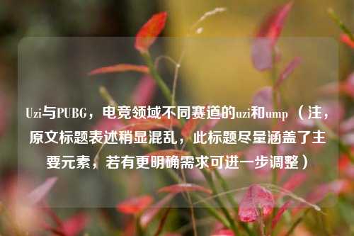 Uzi与PUBG，电竞领域不同赛道的uzi和ump （注，原文标题表述稍显混乱，此标题尽量涵盖了主要元素，若有更明确需求可进一步调整）