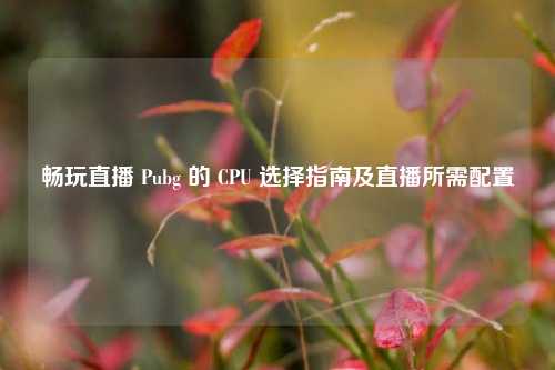 畅玩直播 Pubg 的 CPU 选择指南及直播所需配置