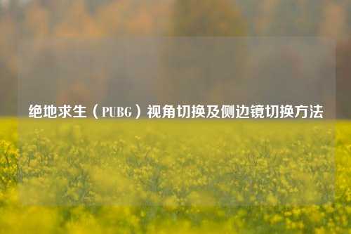 绝地求生（PUBG）视角切换及侧边镜切换 *** 