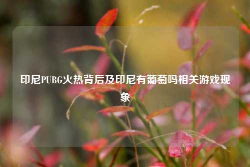 印尼PUBG火热背后及印尼有葡萄吗相关游戏现象