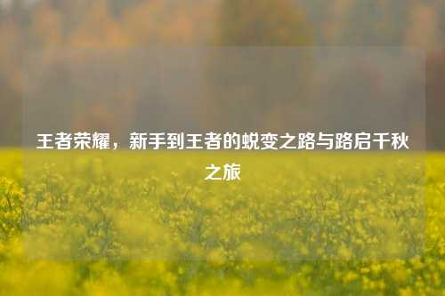 王者荣耀，新手到王者的蜕变之路与路启千秋之旅