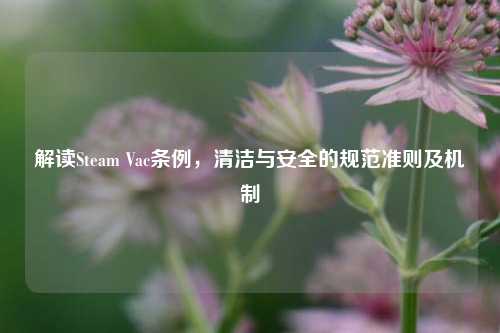 解读Steam Vac条例，清洁与安全的规范准则及机制